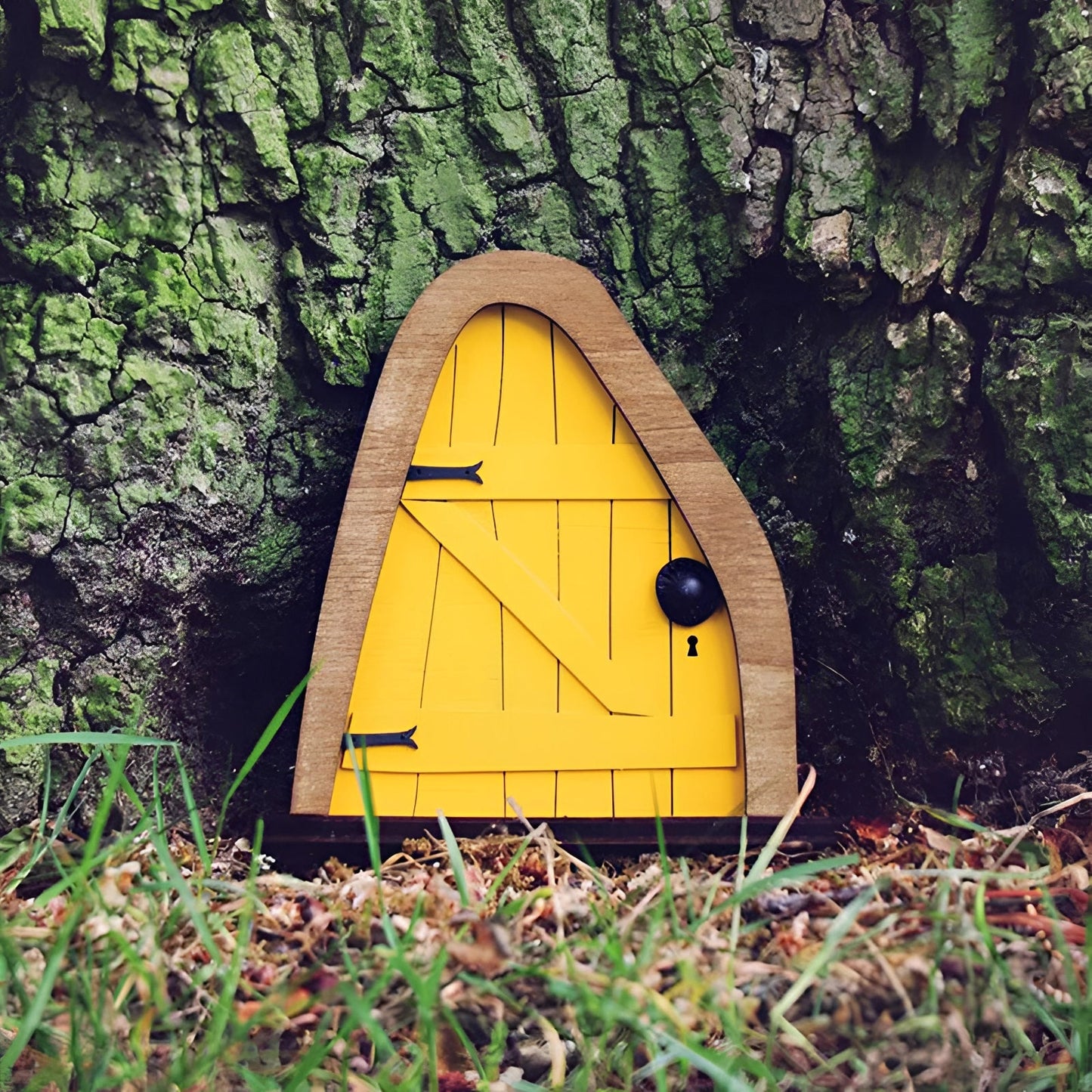 Charming Whimsical Fairy Garden Tree Door