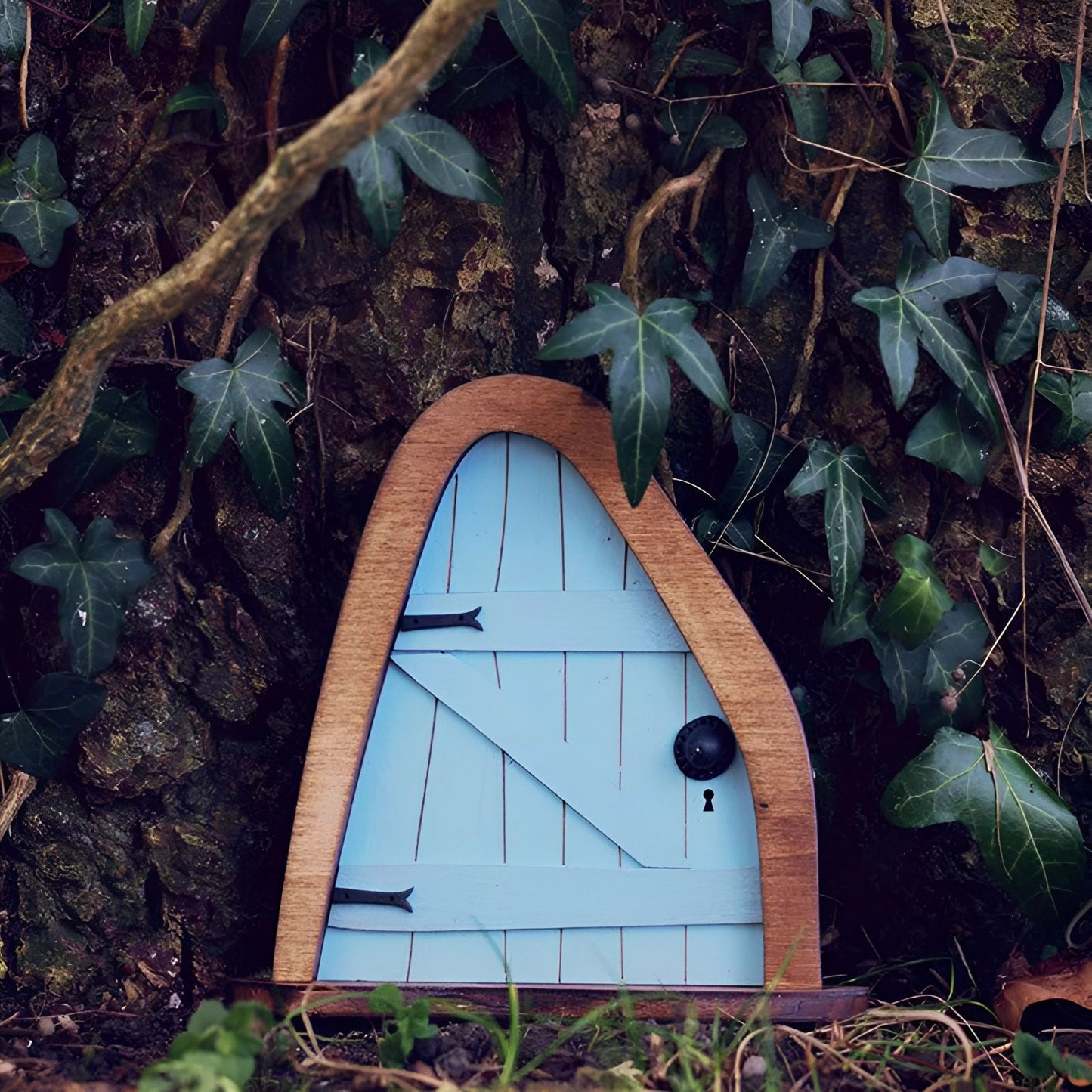 Charming Whimsical Fairy Garden Tree Door